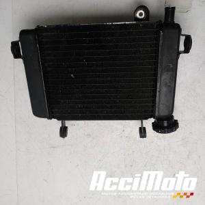 Radiateur de refroidissement HONDA CBR125