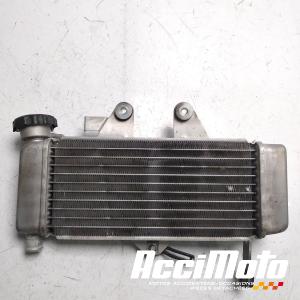 Radiateur de refroidissement HONDA VARADERO XL125V