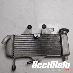 Radiateur de refroidissement HONDA VARADERO XL125V