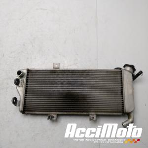 Radiateur de refroidissement KAWASAKI ER6 N