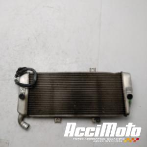 Radiateur de refroidissement KAWASAKI ER6 N