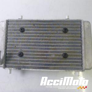 Radiateur de refroidissement YAMAHA XMAX 400