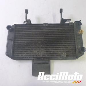 Radiateur de refroidissement SUZUKI V-STROM DL650