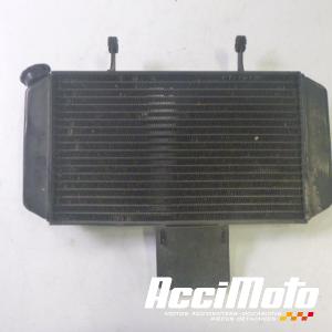 Radiateur de refroidissement SUZUKI V-STROM DL650