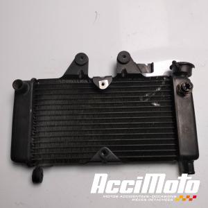 Radiateur de refroidissement HONDA SHADOW VT125C
