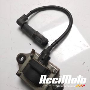 Bobine d'allumage MOTO GUZZI GRISO 1200 8V
