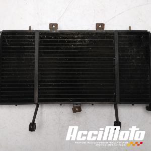 Radiateur de refroidissement TRIUMPH SPRINT 955I RS