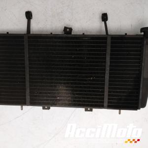 Radiateur de refroidissement TRIUMPH SPRINT 955I RS