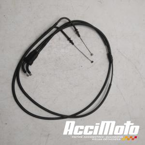 Cable d'accélérateur TRIUMPH SPRINT 955I RS