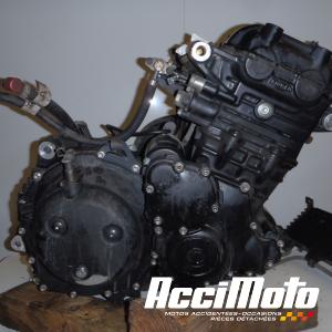 Moteur TRIUMPH SPRINT 955I RS