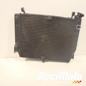 Radiateur de refroidissement YAMAHA R1 YZF1000