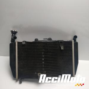 Radiateur de refroidissement TRIUMPH TIGER EXPLORER 1200