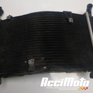 Radiateur de refroidissement TRIUMPH TIGER EXPLORER 1200