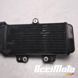 Radiateur de refroidissement YAMAHA TDR 125