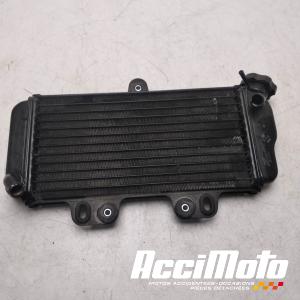 Radiateur de refroidissement YAMAHA TDR 125