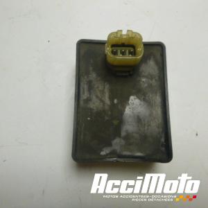 Boitier convertisseur HONDA VTR1000