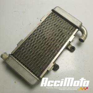 Radiateur de refroidissement HONDA VTR1000