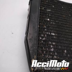 Radiateur de refroidissement YAMAHA R1 YZF1000