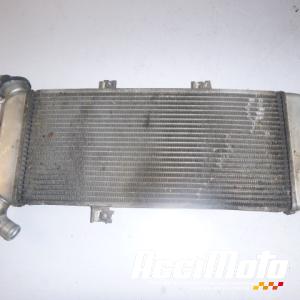 Radiateur de refroidissement KAWASAKI ER6 N