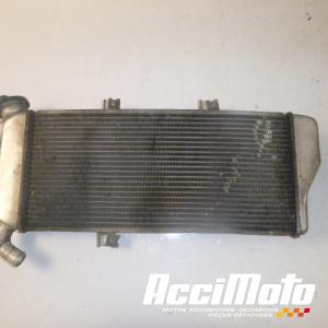 Radiateur de refroidissement KAWASAKI ER6 N