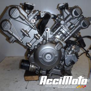 Moteur SUZUKI GLADIUS SFV650