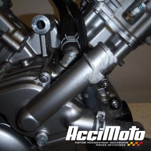 Moteur SUZUKI GLADIUS SFV650