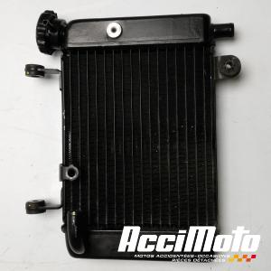 Radiateur de refroidissement HONDA CBR125