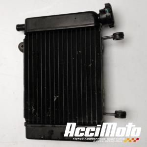 Radiateur de refroidissement HONDA CBR125