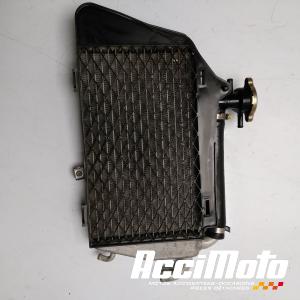 Radiateur de refroidissement HONDA GL1800 GOLDWING