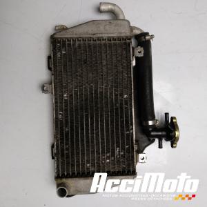 Radiateur de refroidissement HONDA GL1800 GOLDWING