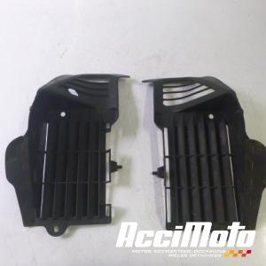 Grille de radiateur HONDA TRANSALP XL600V