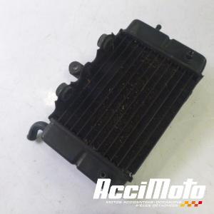 Radiateur de refroidissement HONDA TRANSALP XL600V