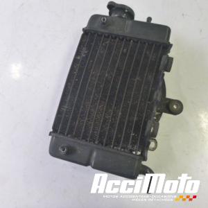 Radiateur de refroidissement HONDA TRANSALP XL600V