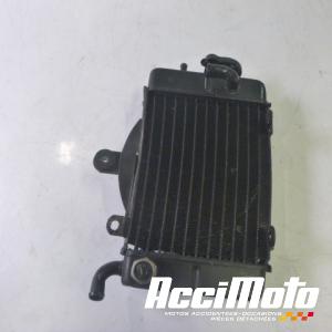 Radiateur de refroidissement HONDA TRANSALP XL600V