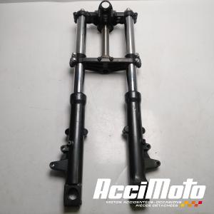 Fourche complète KAWASAKI ZZR ZX1100