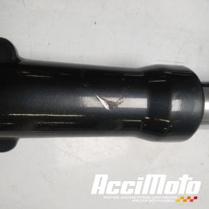 Fourche complète KAWASAKI ZZR ZX1100