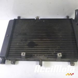 Radiateur de refroidissement YAMAHA FAZER FZS1000