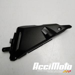 Cache vase d'expansion KAWASAKI NINJA EX650