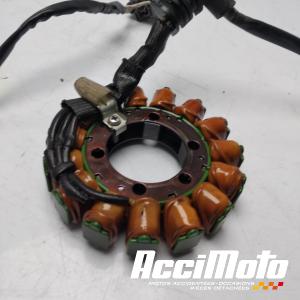 Stator d'alternateur YAMAHA R1 YZF1000