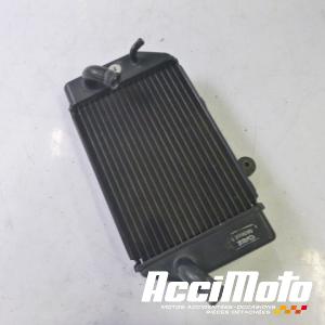 Radiateur de refroidissement HONDA TRANSALP XL700V