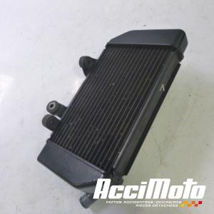 Radiateur de refroidissement HONDA TRANSALP XL700V