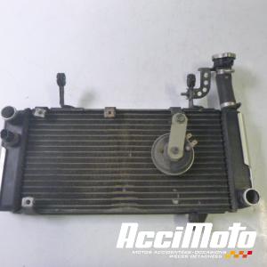 Radiateur de refroidissement SUZUKI SV 1000S