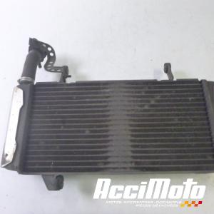 Radiateur de refroidissement SUZUKI SV 1000S