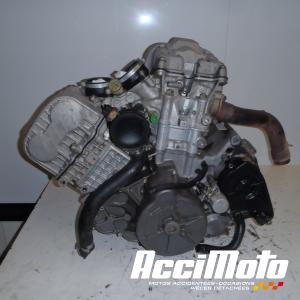 Moteur APRILIA TUONO RSV1000