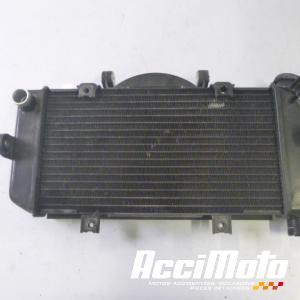 Radiateur de refroidissement YAMAHA TDM 900