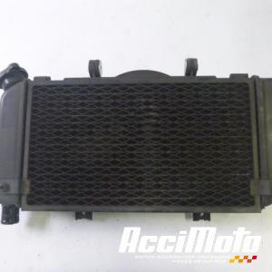 Radiateur de refroidissement YAMAHA TDM 900