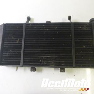 Radiateur de refroidissement TRIUMPH SPRINT 955 ST