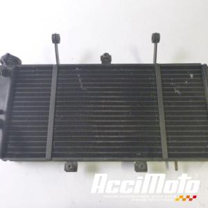 Radiateur de refroidissement TRIUMPH SPRINT 955 ST