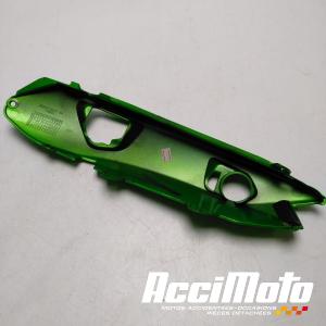 Coque arrière (droite) KAWASAKI ER6 F