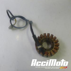 Stator d'alternateur DUCATI MONSTER 797